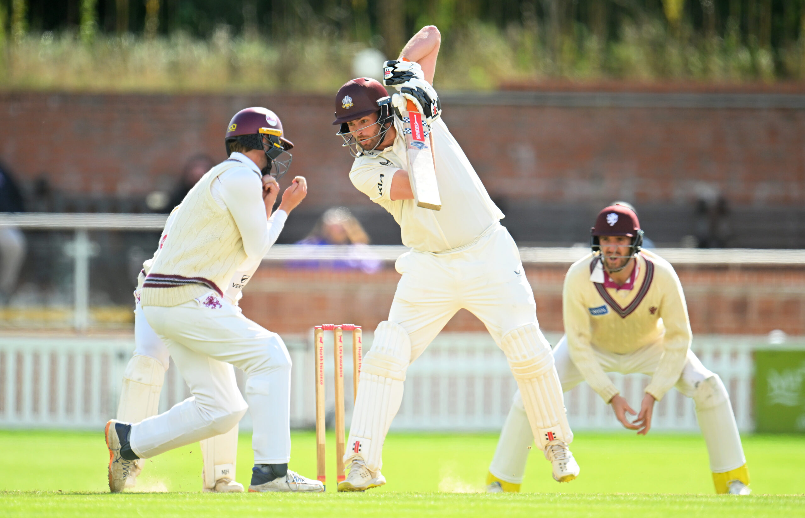 Surrey fall to defeat at Taunton